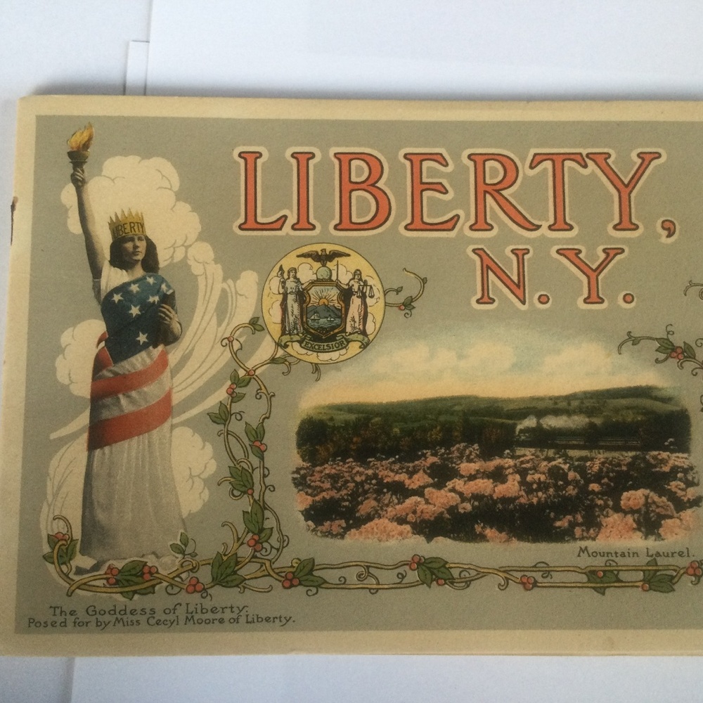 Liberty NY photo booklet from 1917
